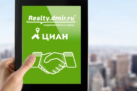 Realty.dmir.ru закроется 10 января