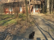 Осколки деревенской Москвы: частные дома в черте города