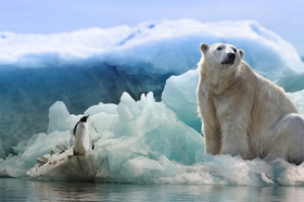 Россиянам предложат получить гектар земли в Арктике