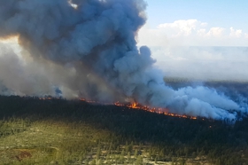 Россия в огне: можно ли защитить свой дом от лесных пожаров?