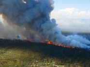 Россия в огне: можно ли защитить свой дом от лесных пожаров?