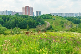 5 самых зелёных районов Москвы