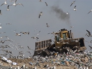 В 2022 году начнется массовое строительство «мусорных» объектов