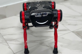 В столичной Госинспекции по недвижимости будет работать робот-собака