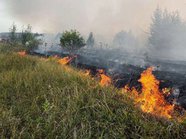 Лесными пожарами уничтожено около 700 жилых домов