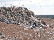 В Новосибирской области на строительство мусорных полигонов потратят 2,5 млрд рублей