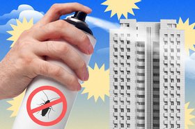 Как избавиться от тараканов в квартире