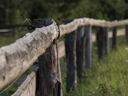 С кадастровых карт хотят убрать зоны археологического наследия
