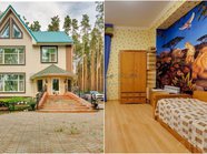 Под Новосибирском за 60 млн рублей продают усадьбу со львами на стенах