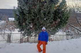 В Челябинской области чиновников обвинили в похищении елки