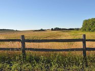 Процедуру изъятия неиспользуемых сельхозземель изменят