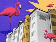 Редкий вид: «Фламинго» на границе города