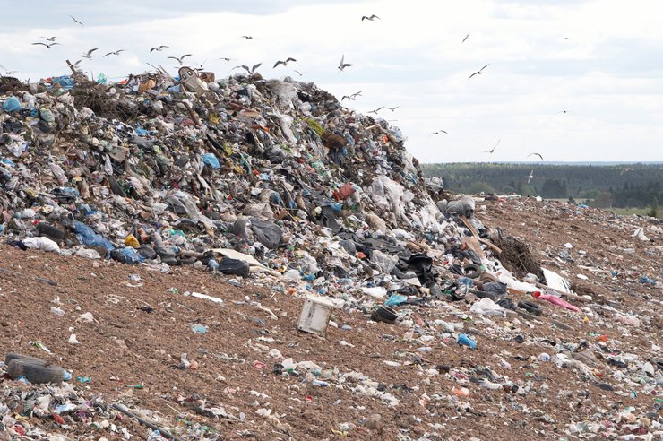 Москва не планирует строить мусороперерабатывающие заводы