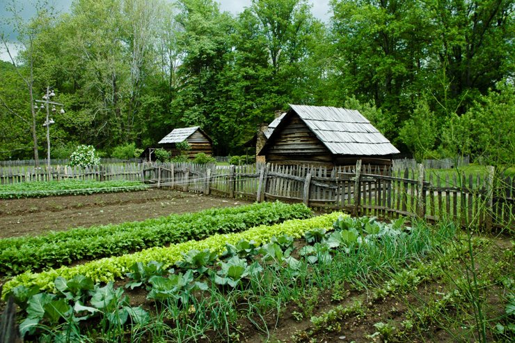 В Самаре собственнице земельного участка выписан штраф за сорняки