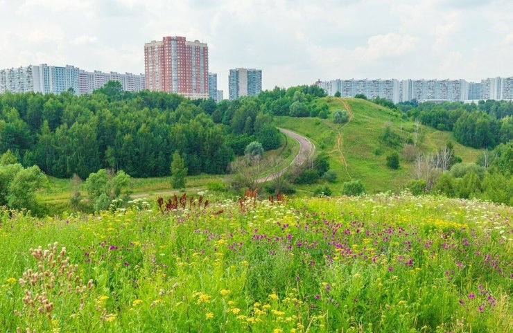 5 самых зелёных районов Москвы
