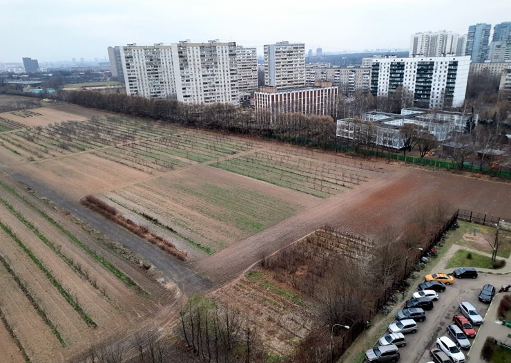 Половина Мичуринского сада Тимирязевской академии может уйти под застройку