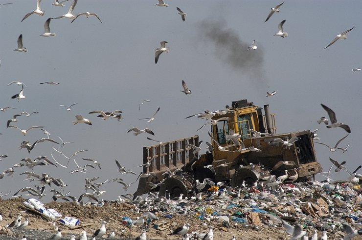 В 2022 году начнется массовое строительство «мусорных» объектов