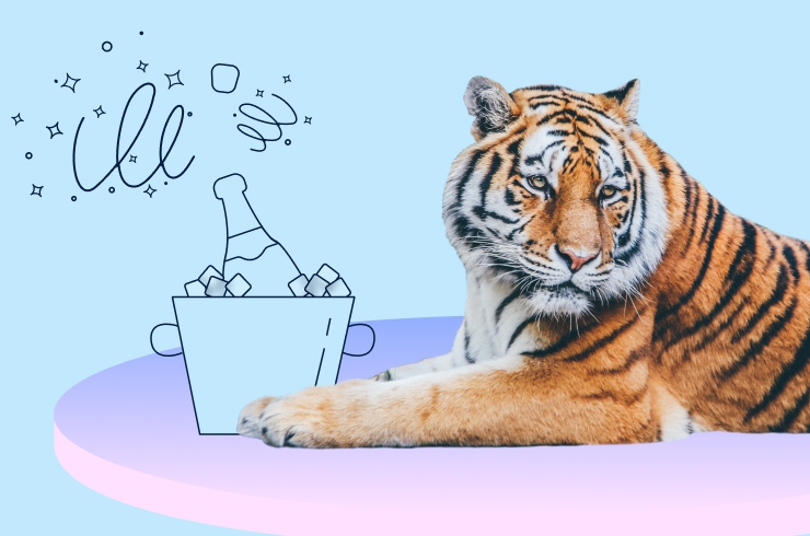 Как правильно встречать год Водяного Тигра?