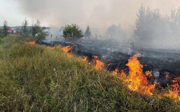 Лесными пожарами уничтожено около 700 жилых домов