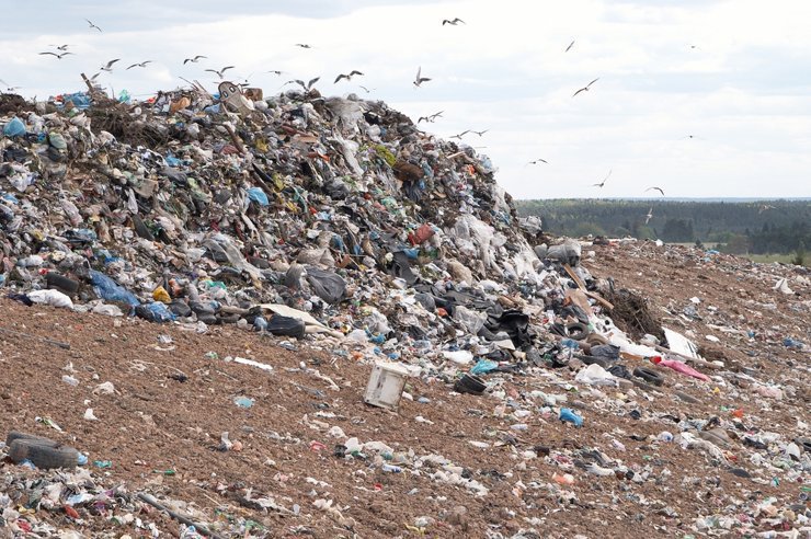 В Новосибирской области на строительство мусорных полигонов потратят 2,5 млрд рублей