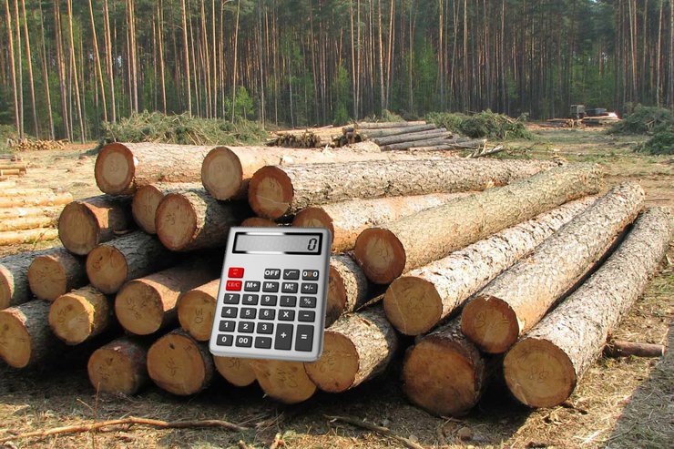 Будут ли сезонно дорожать деревянные дома: если нет, то почему?